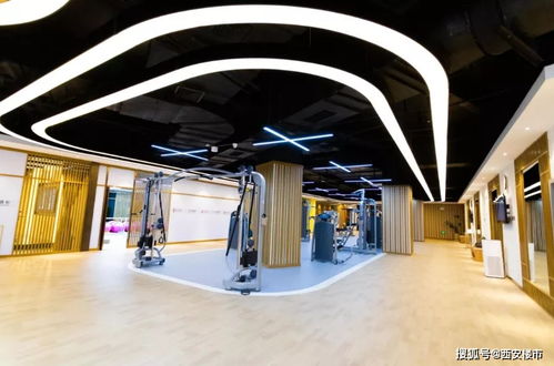 告別價(jià)格戰(zhàn)，旅游市場迎來產(chǎn)品力與服務(wù)體驗(yàn)的競爭新階段